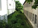 20080710_095301