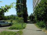 20080710_122730