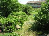 20080710_123820
