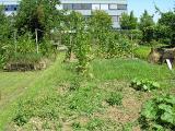 20080710_124130
