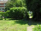 20080710_124152