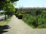 20080710_124509