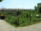 20080710_124533