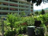 20080710_125656