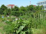 20080710_130113