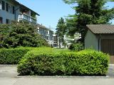 20080710_132425
