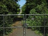 20080710_132735